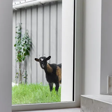 Tranquiloue - Les De Gabriel - Puy Du Fou 別荘 *