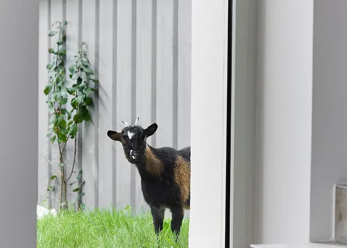 Tranquiloue - Les De Gabriel - Puy Du Fou Hébergement de vacances *